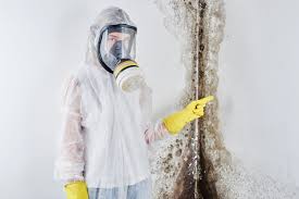 Mold Remediation for Rental Properties in Bayou Gauche, LA